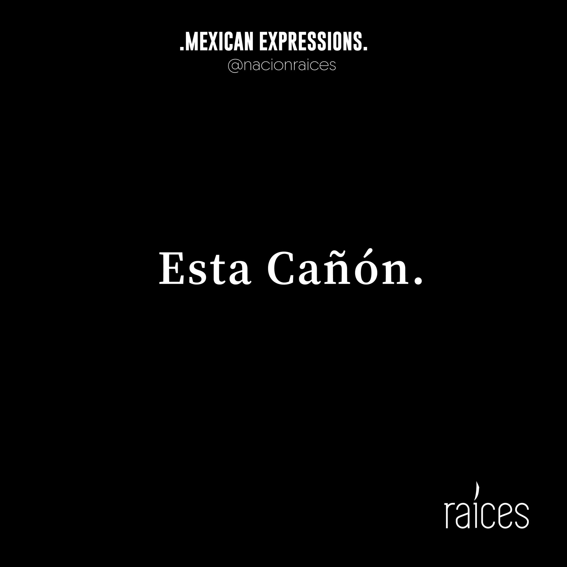 Camiseta  "Esta cañón”