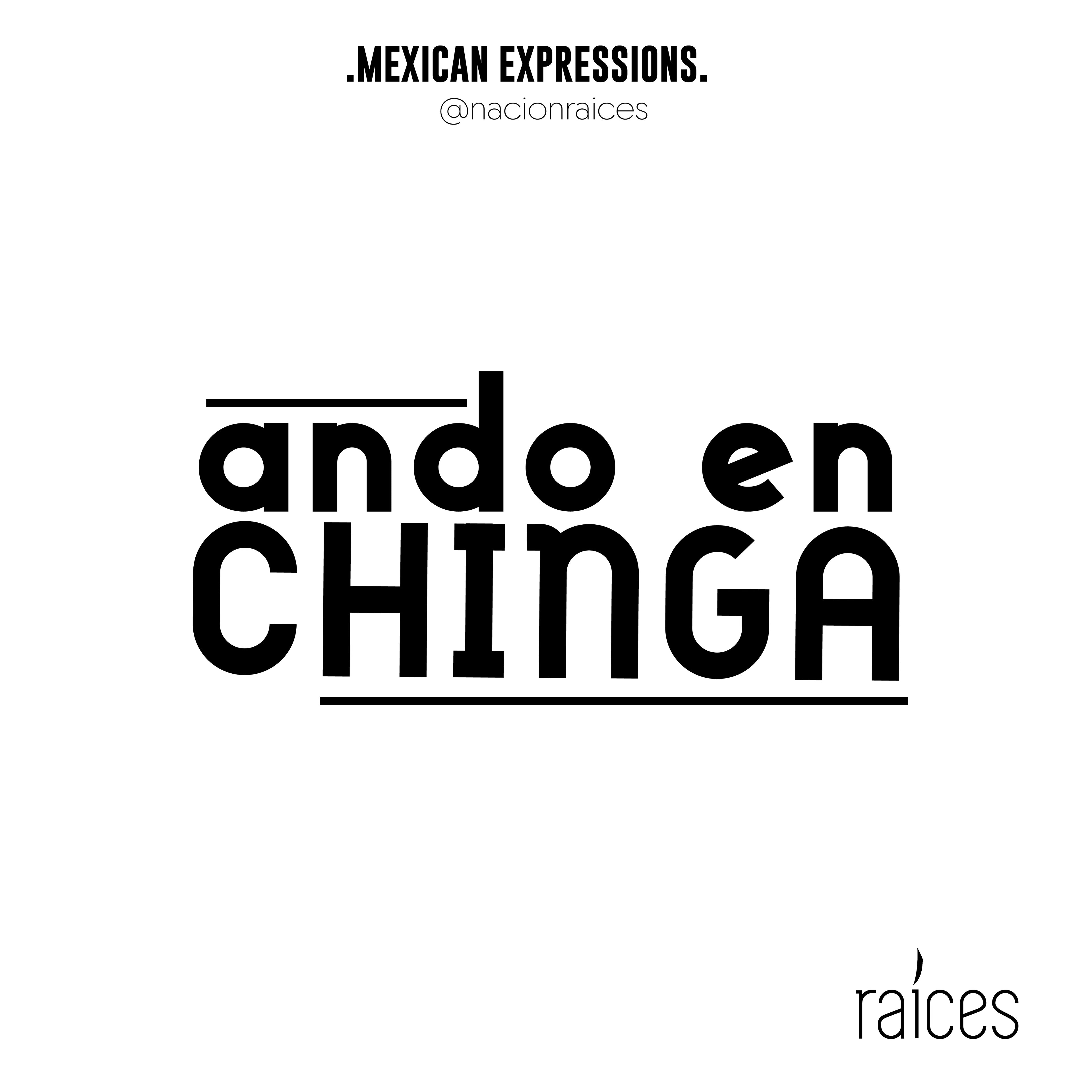Camiseta  "Ando en chinga”